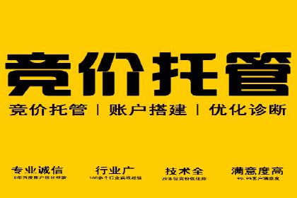 医疗行业SEM运营托管的优化与效果评估